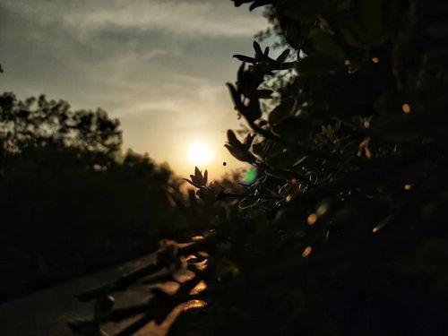 长夜尽思,探寻心灵深处的智慧之光