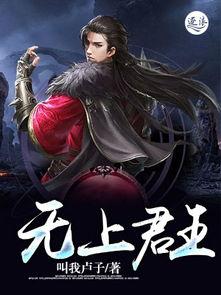 无上君王,巅峰霸业传奇 第3张 无上君王,巅峰霸业传奇 第3张