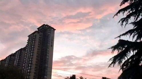 许下漫天星空,追寻梦想的璀璨旅程