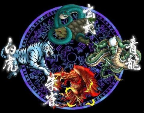 四大神兽外传,神秘力量的觉醒之旅 第2张 四大神兽外传,神秘力量的觉醒之旅 第2张