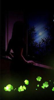 不眠春潮,探寻都市夜生活的脉动与魅力 第3张 不眠春潮,探寻都市夜生活的脉动与魅力 第3张