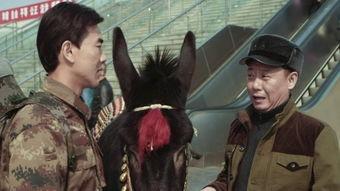 人在驴途,探寻人与自然和谐共生的奇妙旅程  第3张