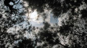 心灵之地 第十三季,神秘回归,命运交织 第2张 心灵之地 第十三季,神秘回归,命运交织 第2张