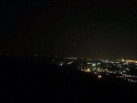 夜色缠枝,探寻都市光影中的诗意人生 第2张 夜色缠枝,探寻都市光影中的诗意人生 第2张