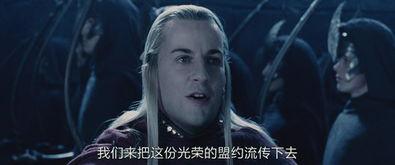 渡鸦之歌,探寻自然与心灵的和谐共鸣  第3张